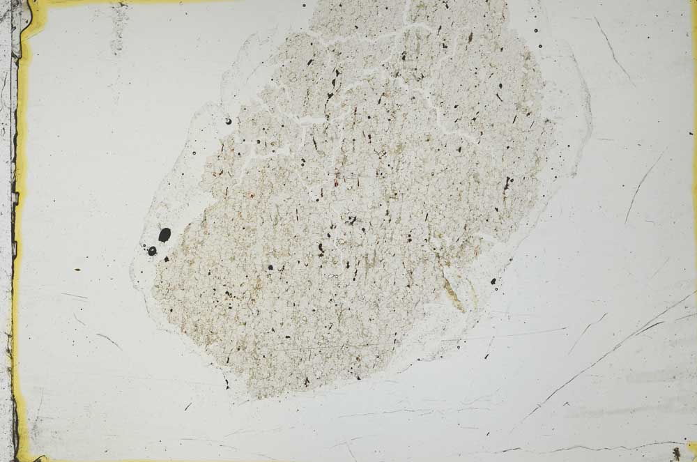 Plane Polarized, S36107