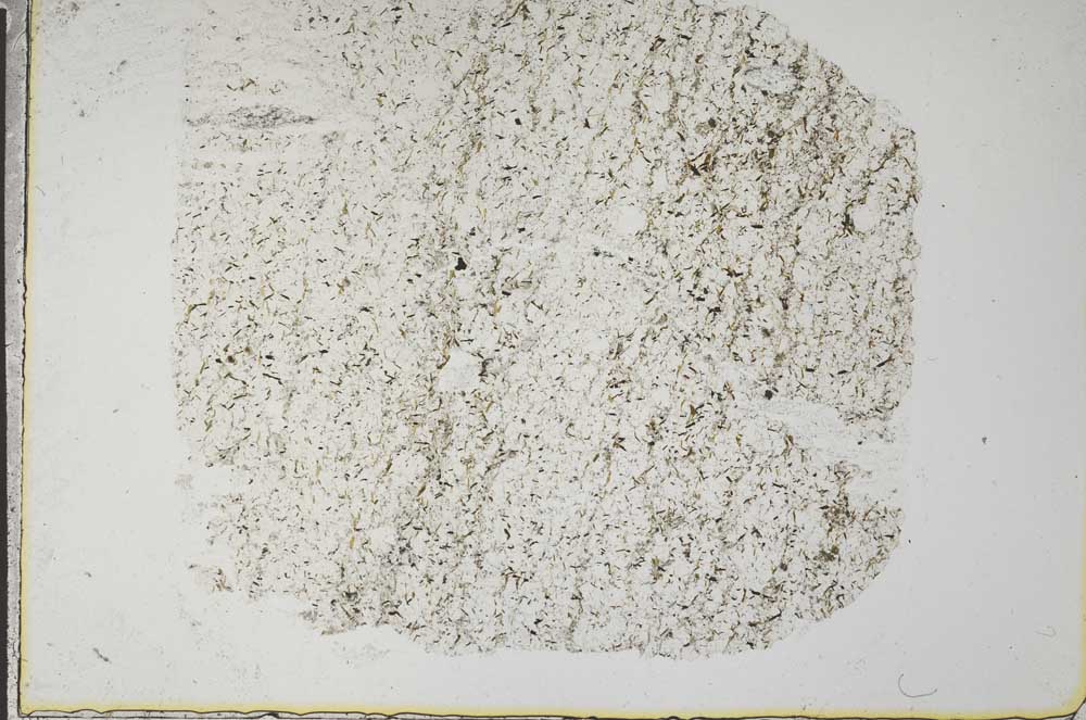 Plane Polarized, S36111