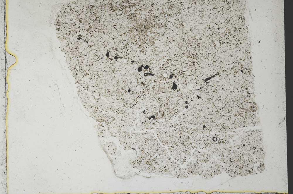 Plane Polarized, S36112