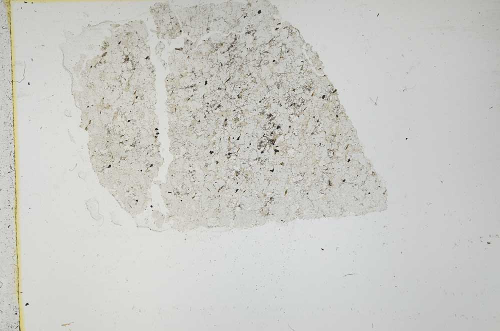 Plane Polarized, S36122