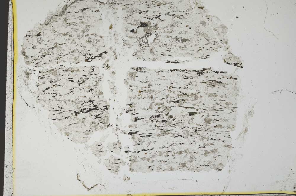 Plane Polarized, S36126