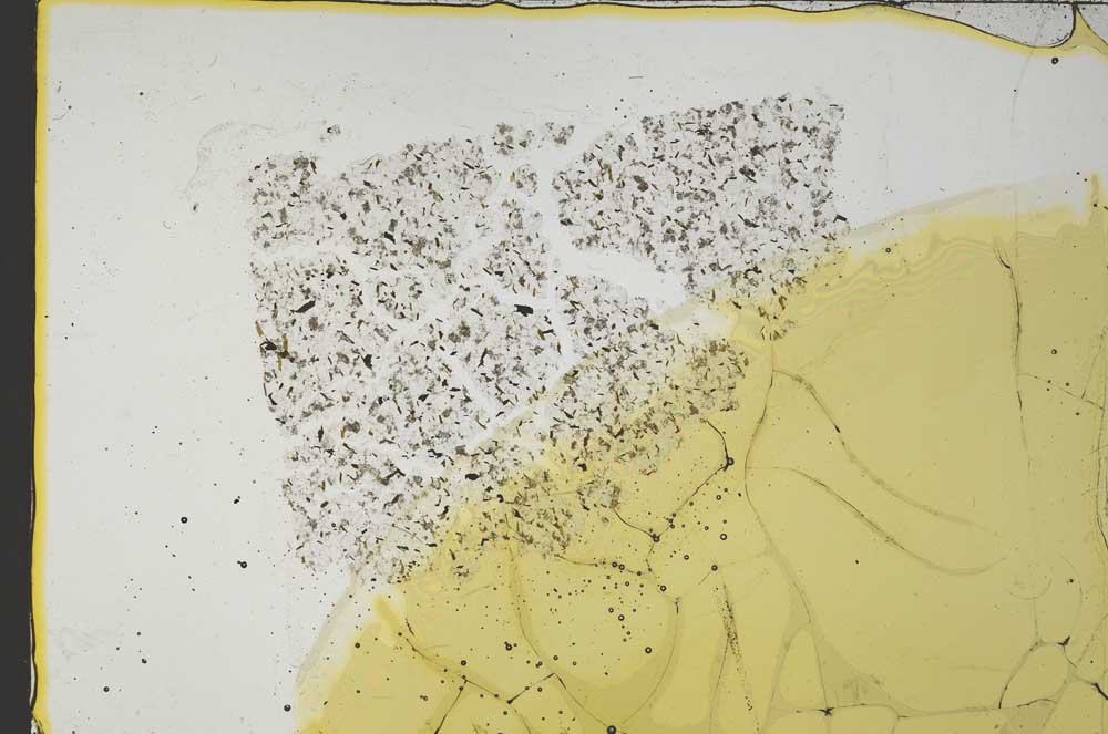 Plane Polarized, S36129