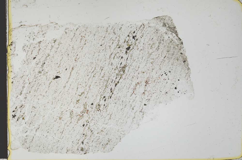 Plane Polarized, S36142