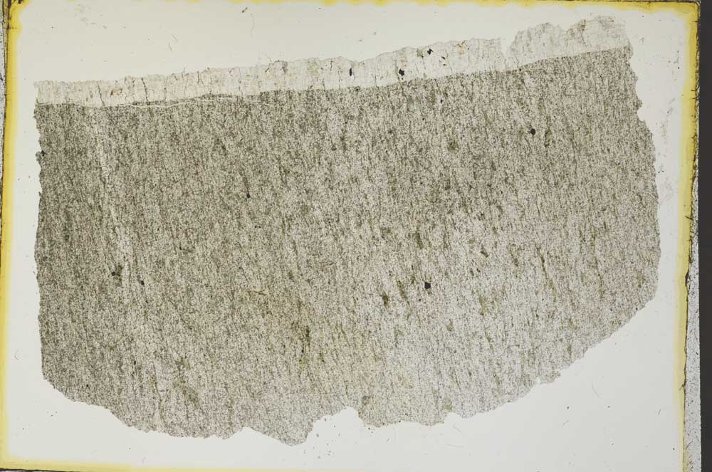 Plane Polarized, S36146