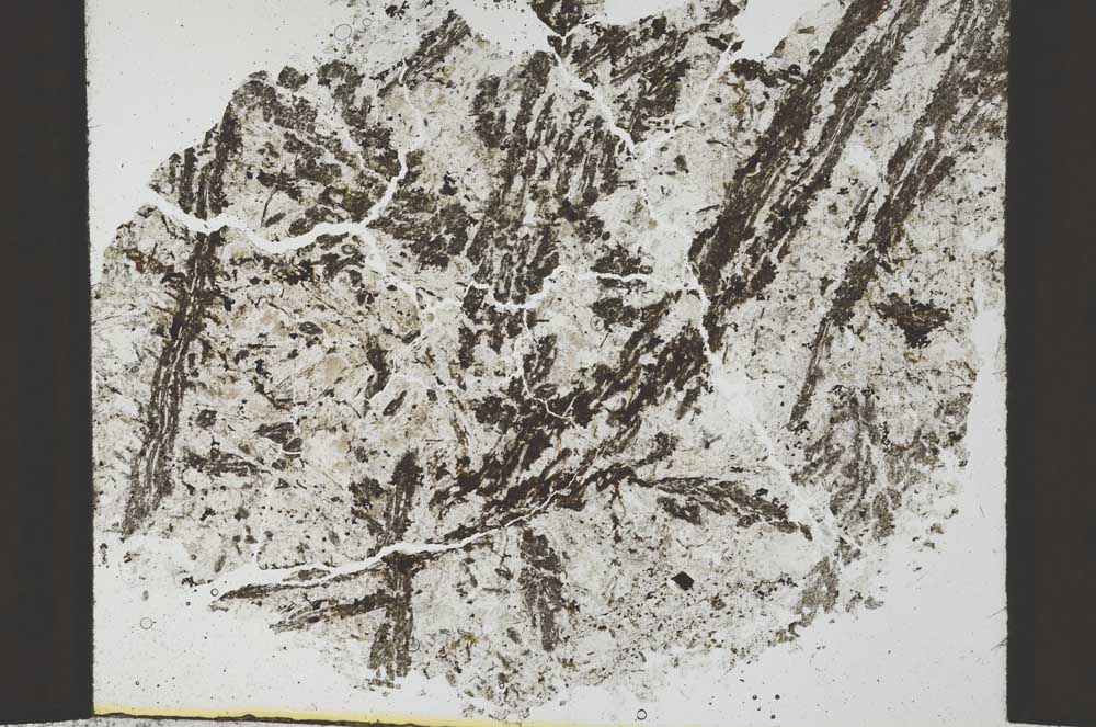 Plane Polarized, S36147
