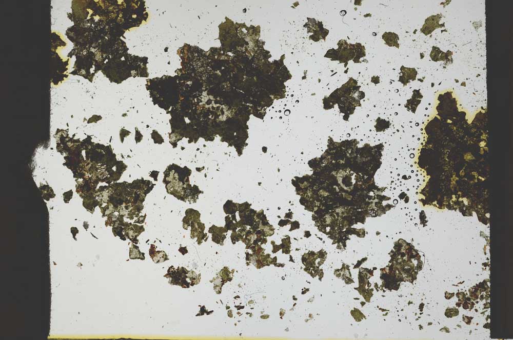 Plane Polarized, S36181
