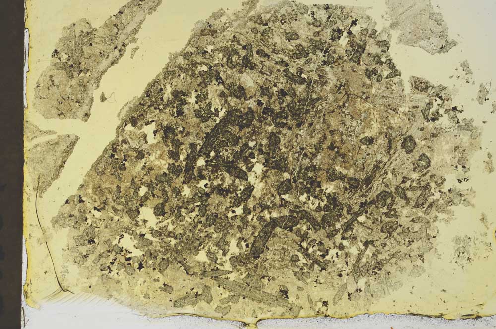 Plane Polarized, S36192