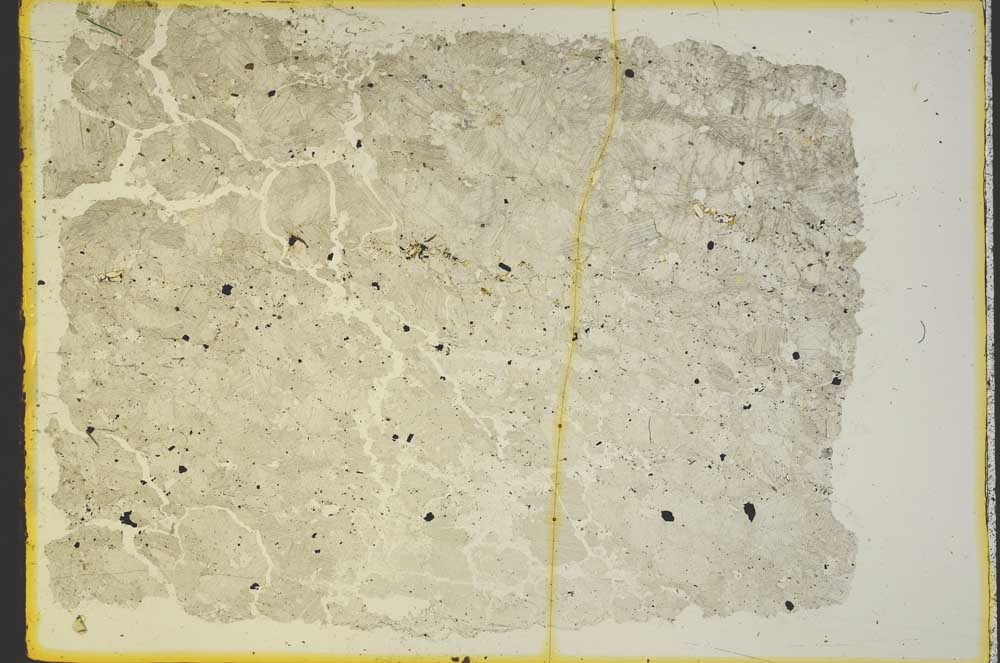 Plane Polarized, S36242