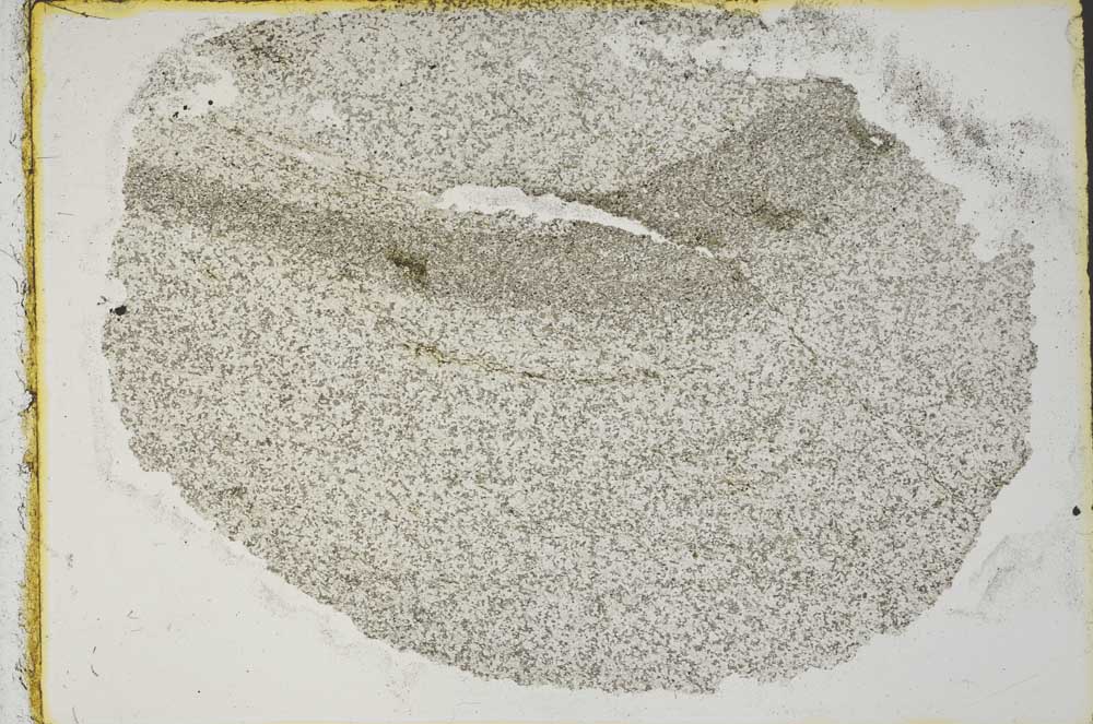 Plane Polarized, S36246