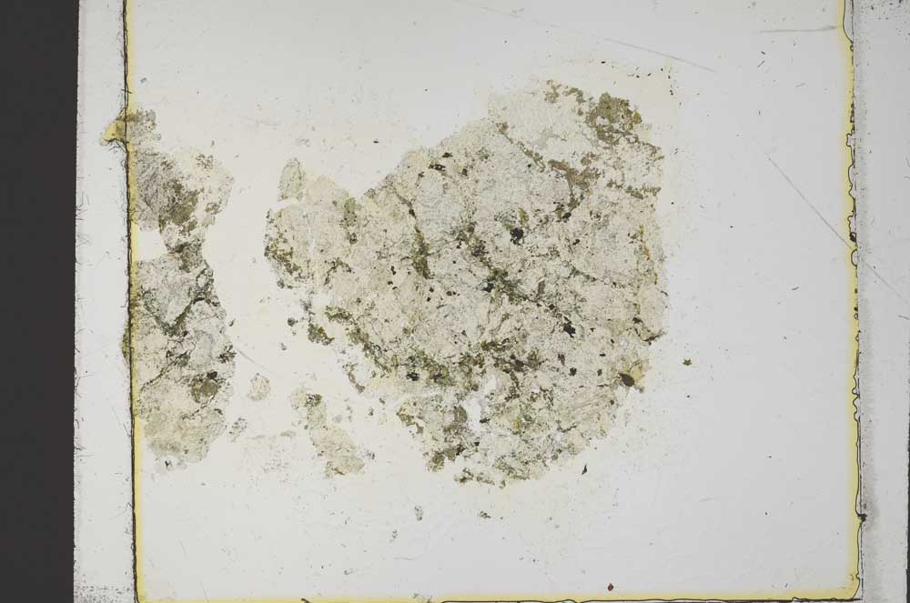 Plane Polarized, S36254/A