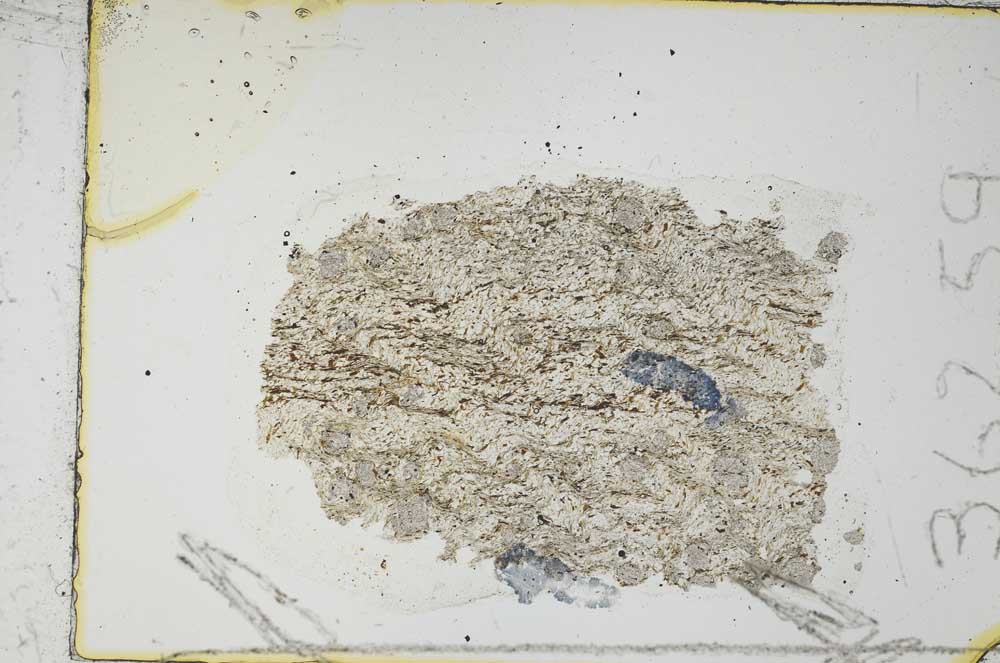 Plane Polarized, S36259