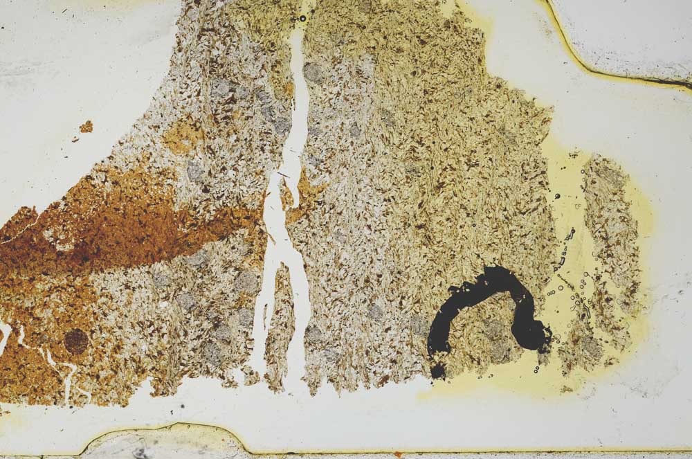 Plane Polarized, S36260