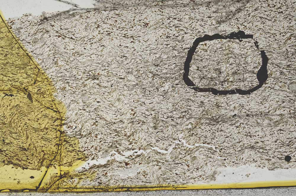 Plane Polarized, S36261