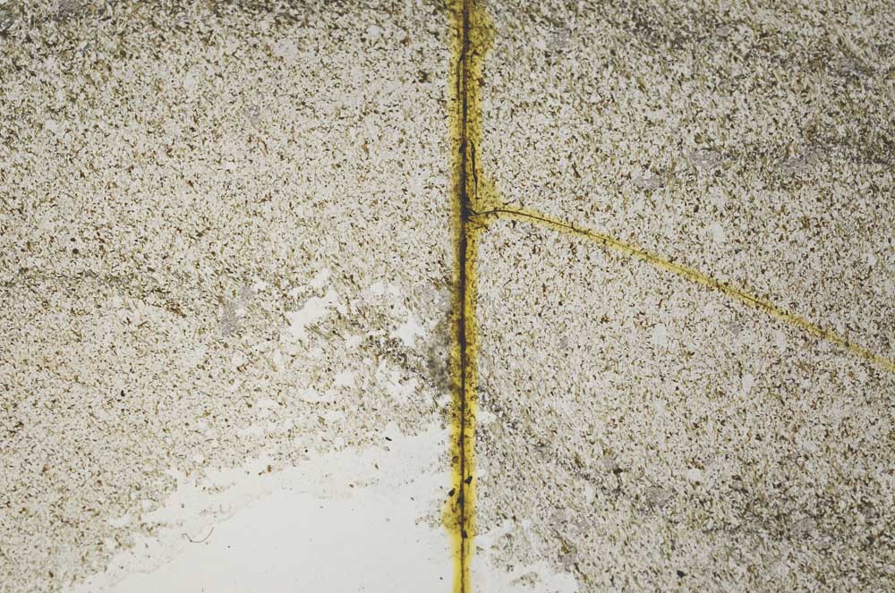 Plane Polarized, S36264