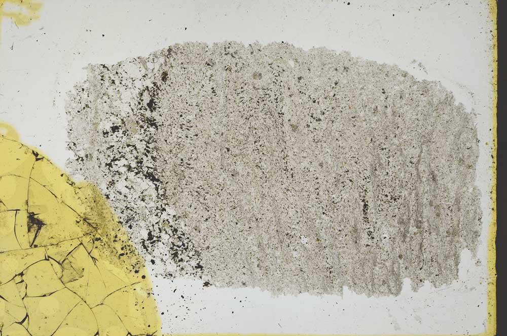 Plane Polarized, S36269
