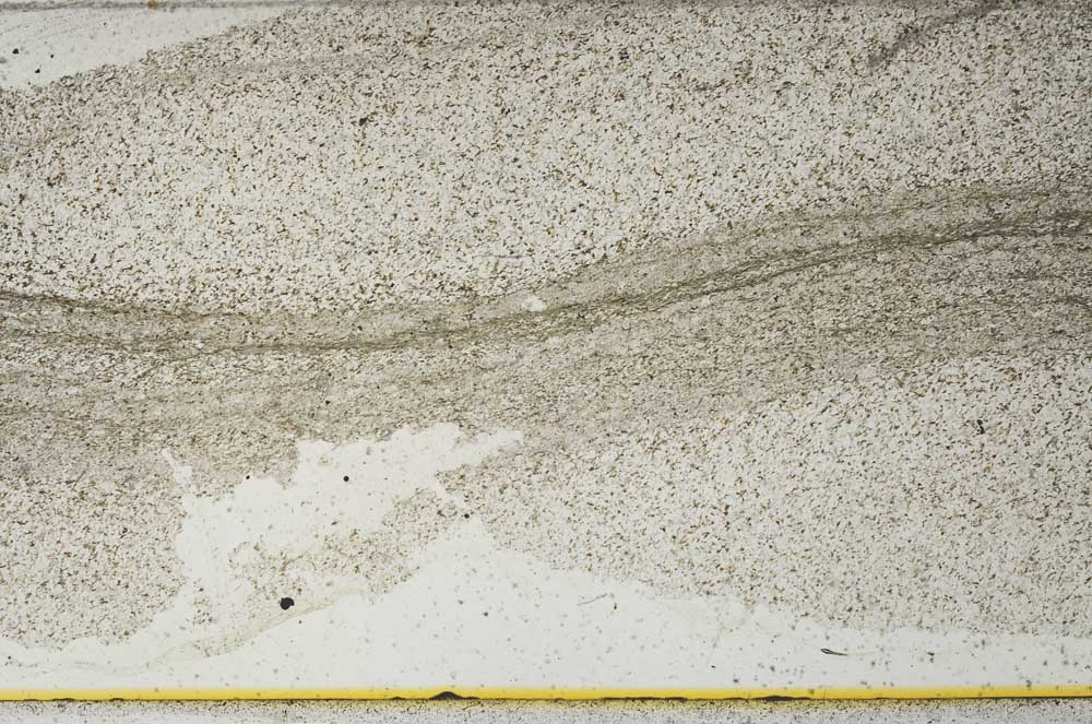 Plane Polarized, S36275