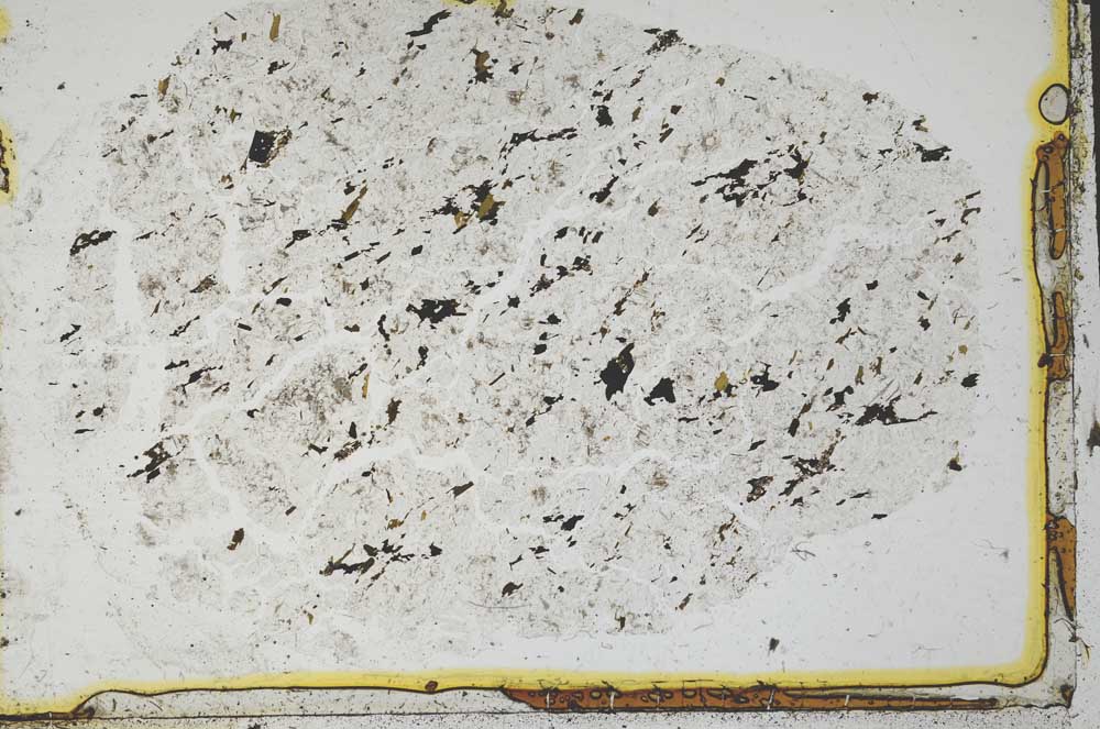 Plane Polarized, S36283