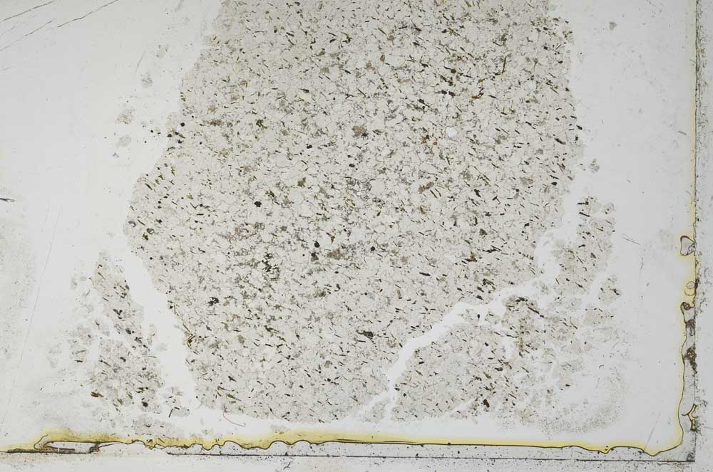 Plane Polarized, S36287