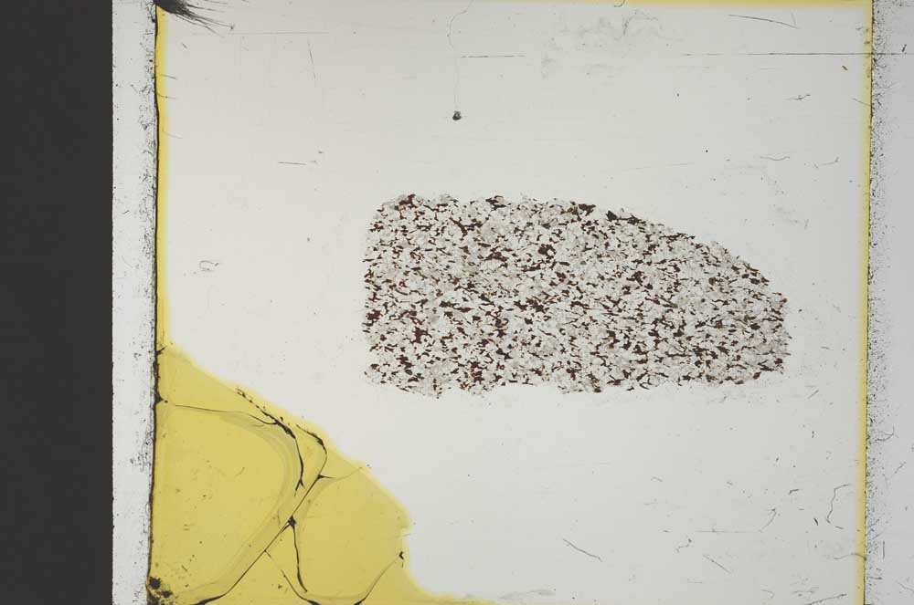 Plane Polarized, S36288