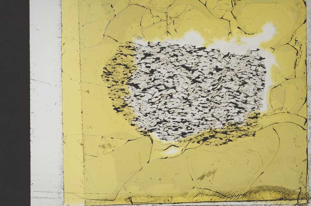 Plane Polarized, S36289