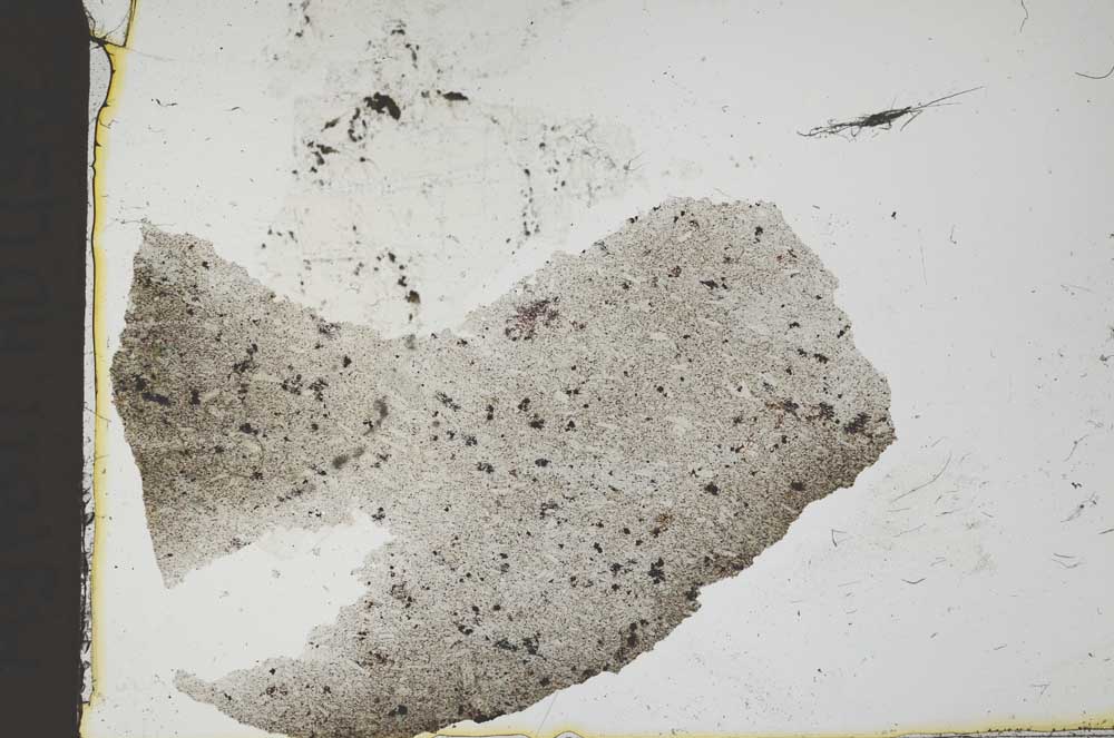 Plane Polarized, S36295