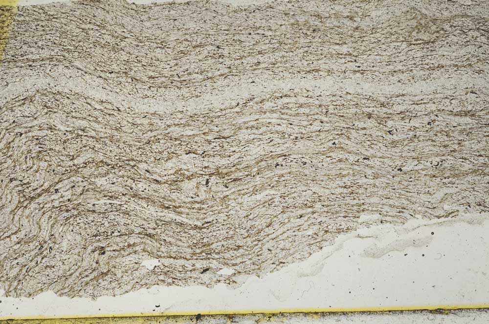 Plane Polarized, S36305