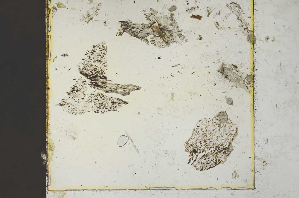 Plane Polarized, S36306