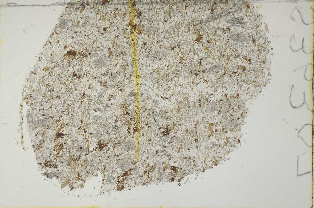 Plane Polarized, S36307