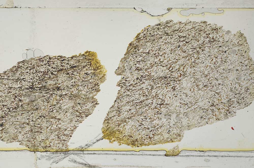 Plane Polarized, S36310