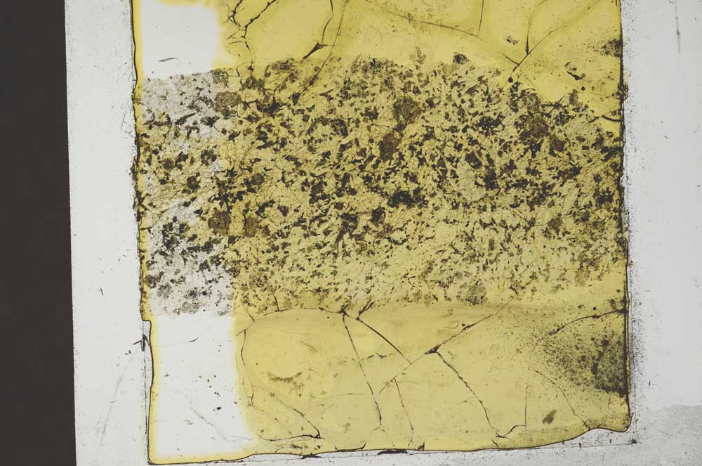 Plane Polarized, S36332