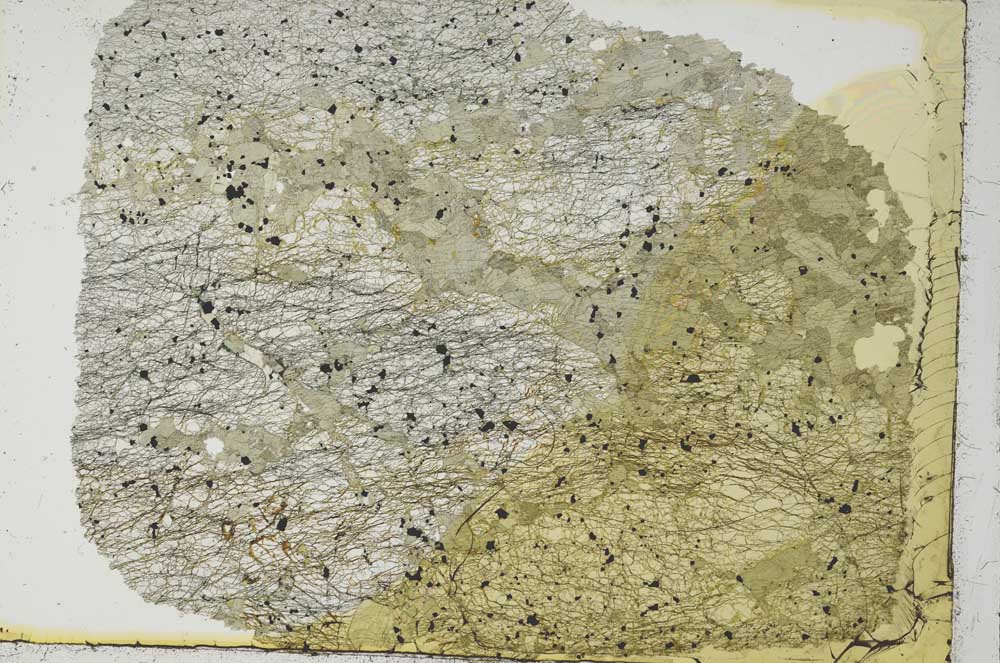Plane Polarized, S36342