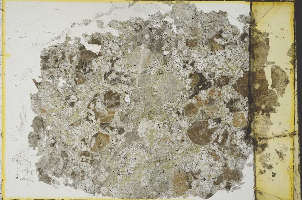 Plane Polarized, S36344