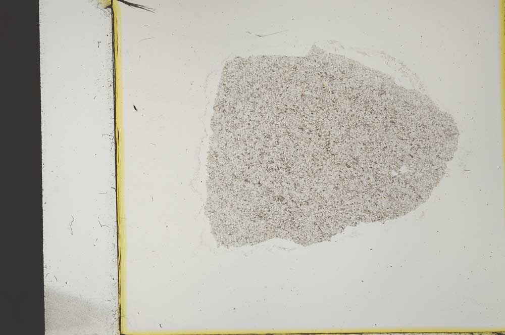 Plane Polarized, S36348