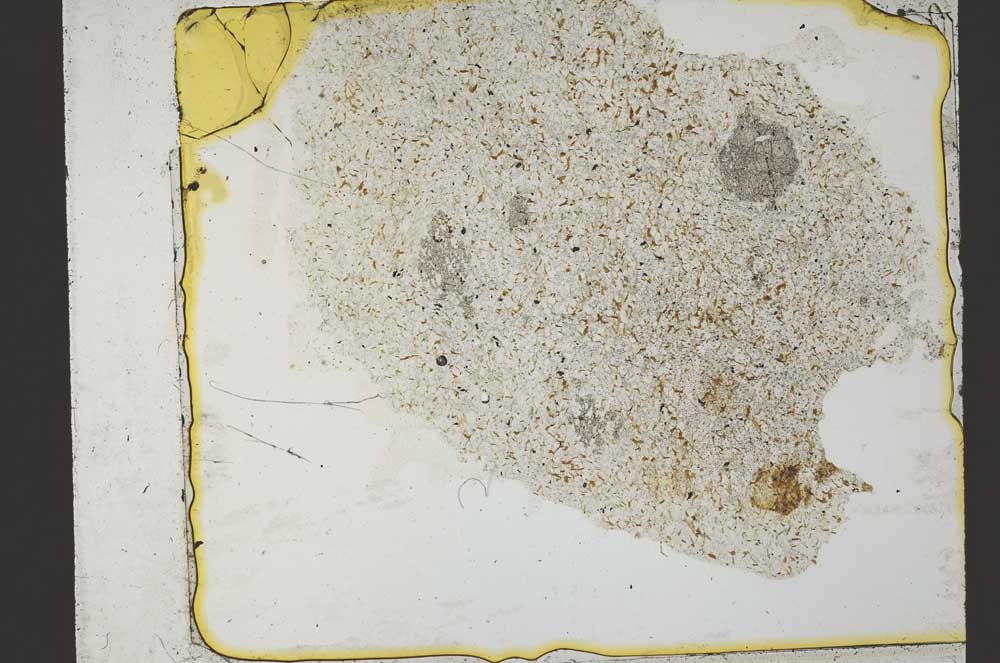 Plane Polarized, S36361