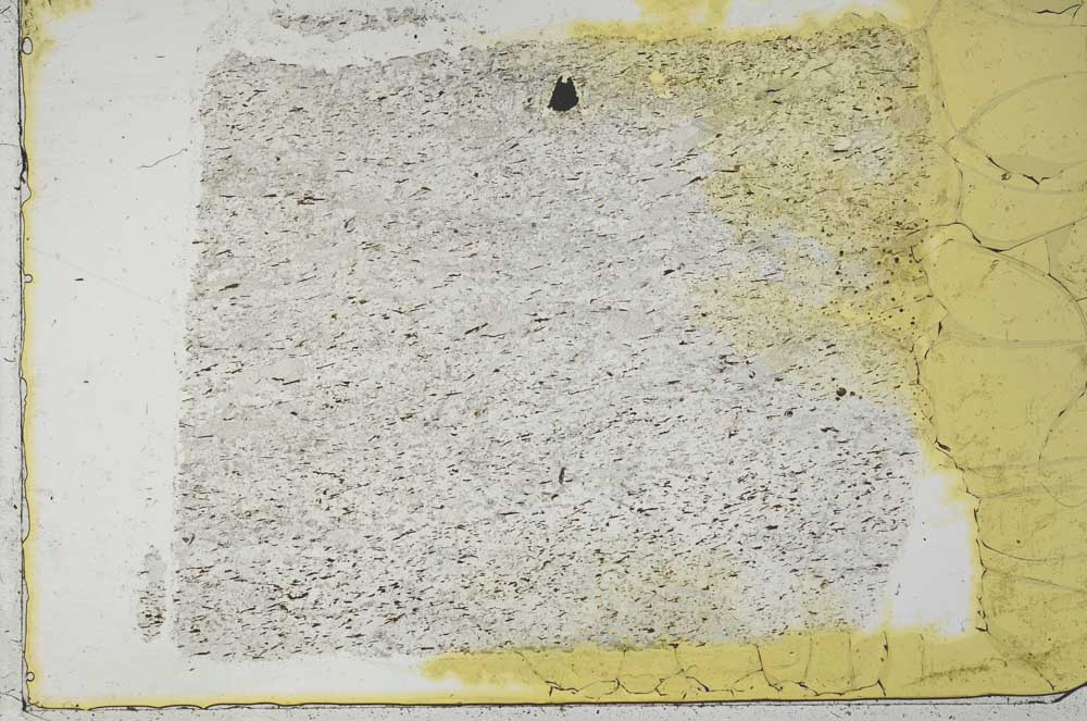 Plane Polarized, S36363