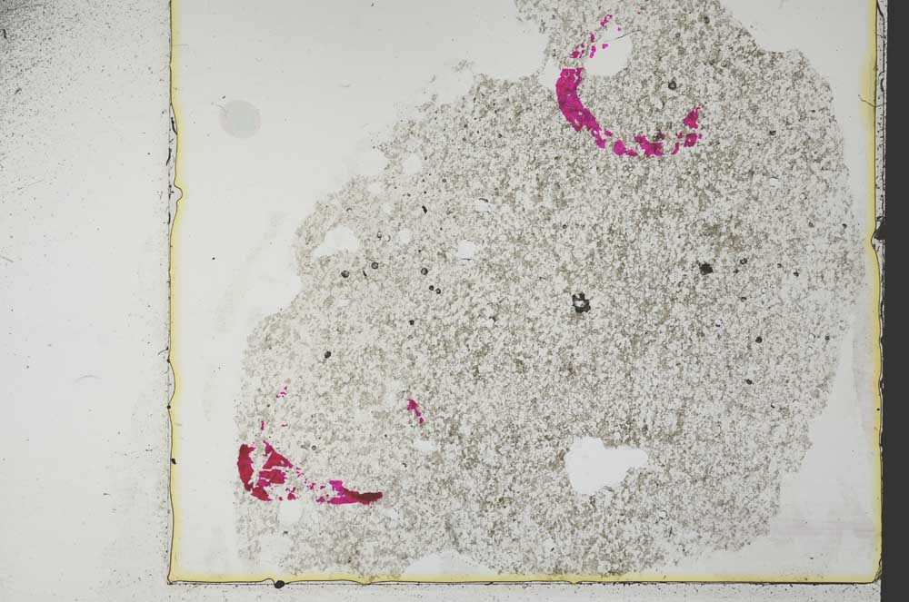 Plane Polarized, S36364