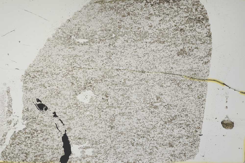 Plane Polarized, S36364/A