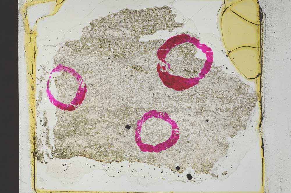 Plane Polarized, S36365