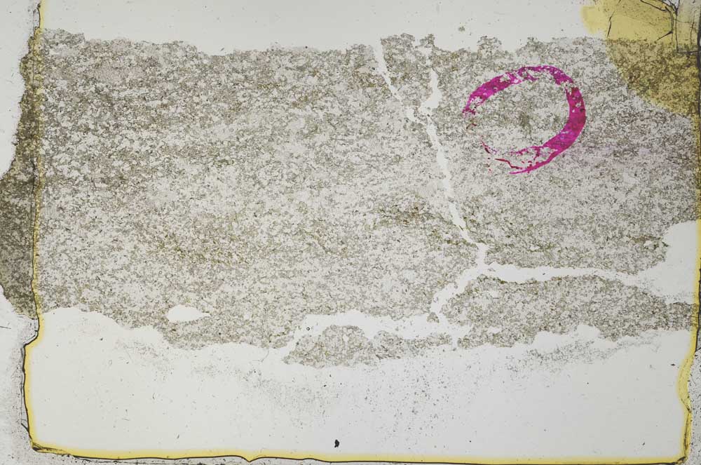 Plane Polarized, S36365/A