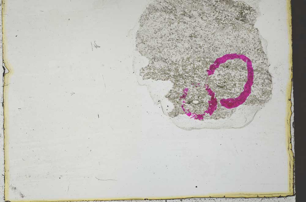 Plane Polarized, S36366