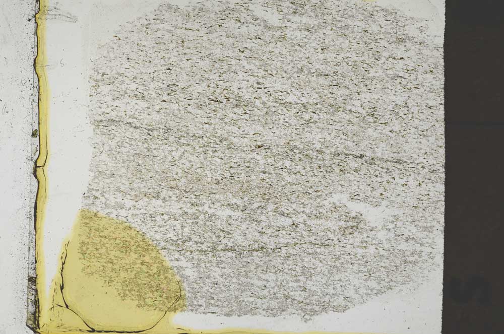 Plane Polarized, S36367