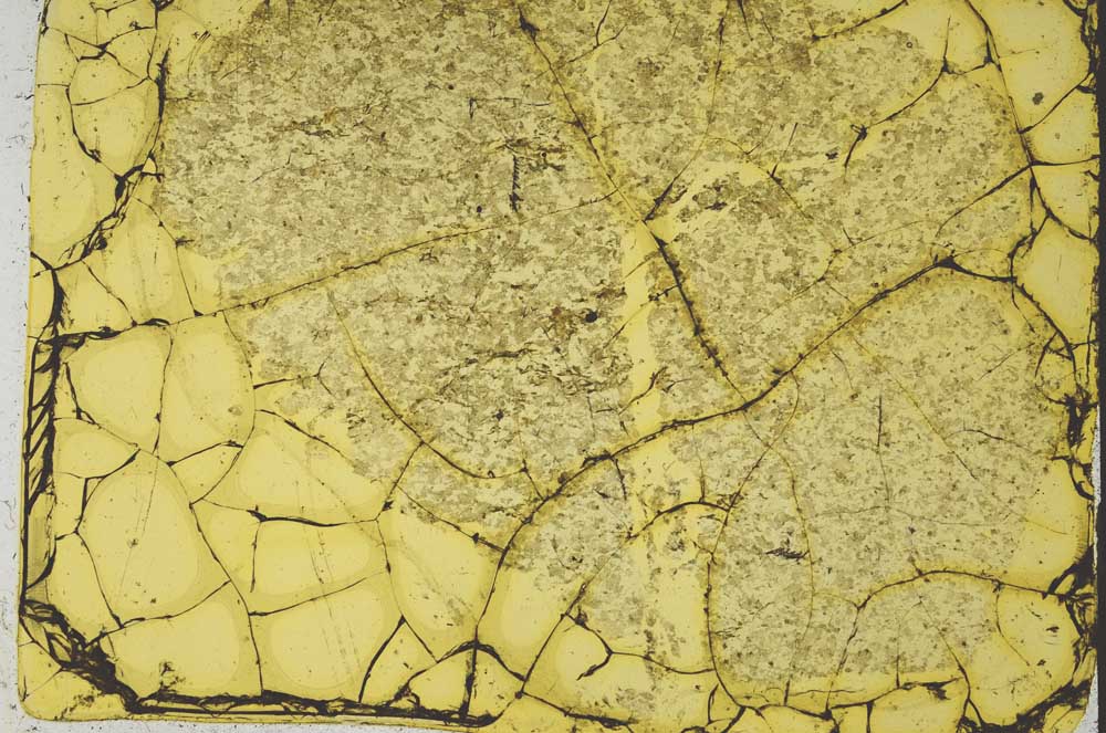 Plane Polarized, S36377