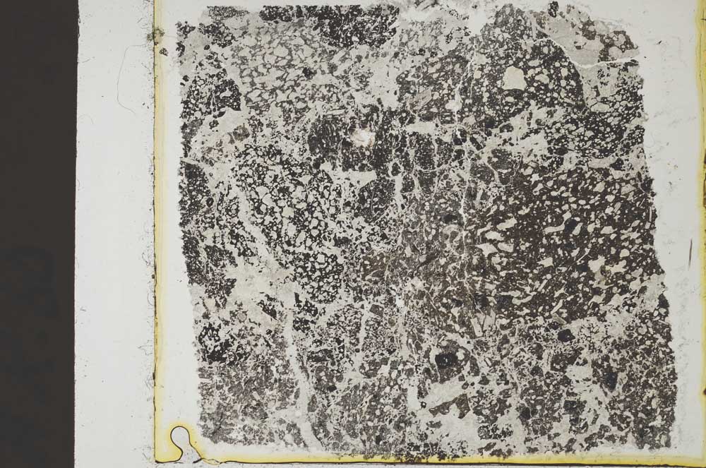 Plane Polarized, S36434
