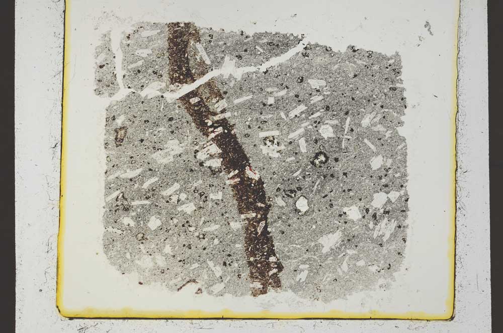 Plane Polarized, S36441