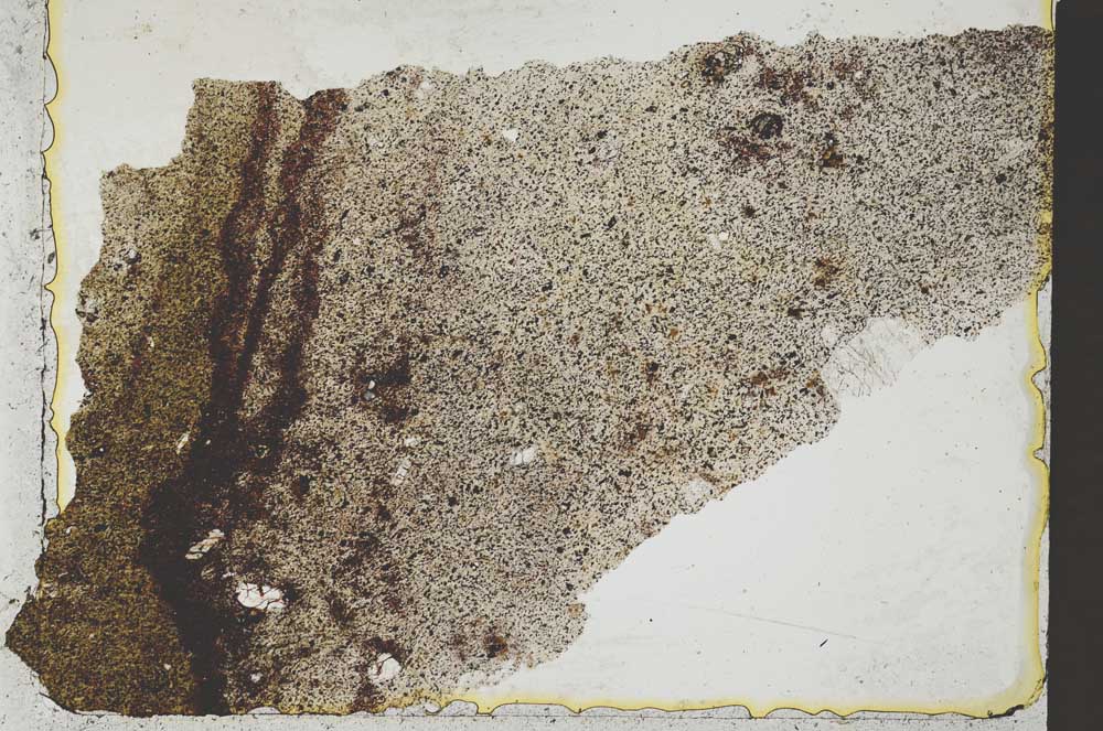 Plane Polarized, S36476
