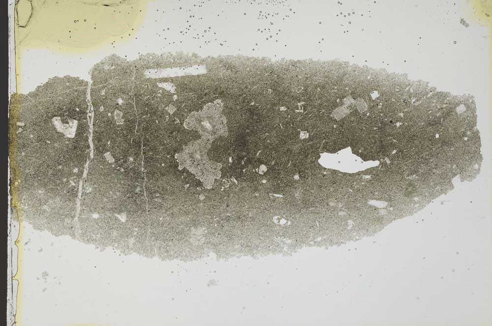 Plane Polarized, S36488