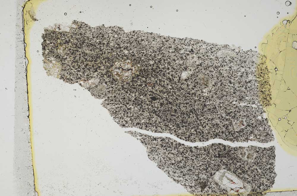 Plane Polarized, S36499
