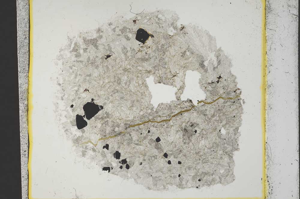 Plane Polarized, S36544