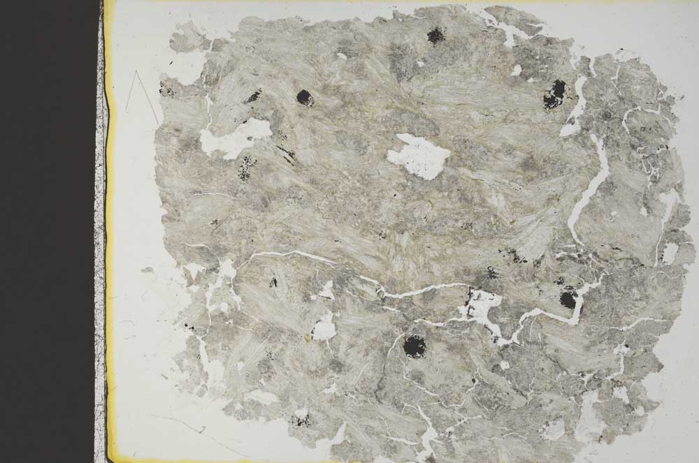 Plane Polarized, S36764