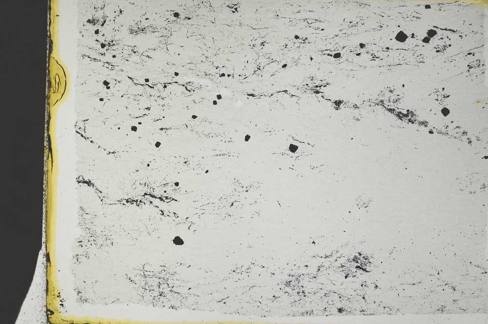 Plane Polarized, S36768